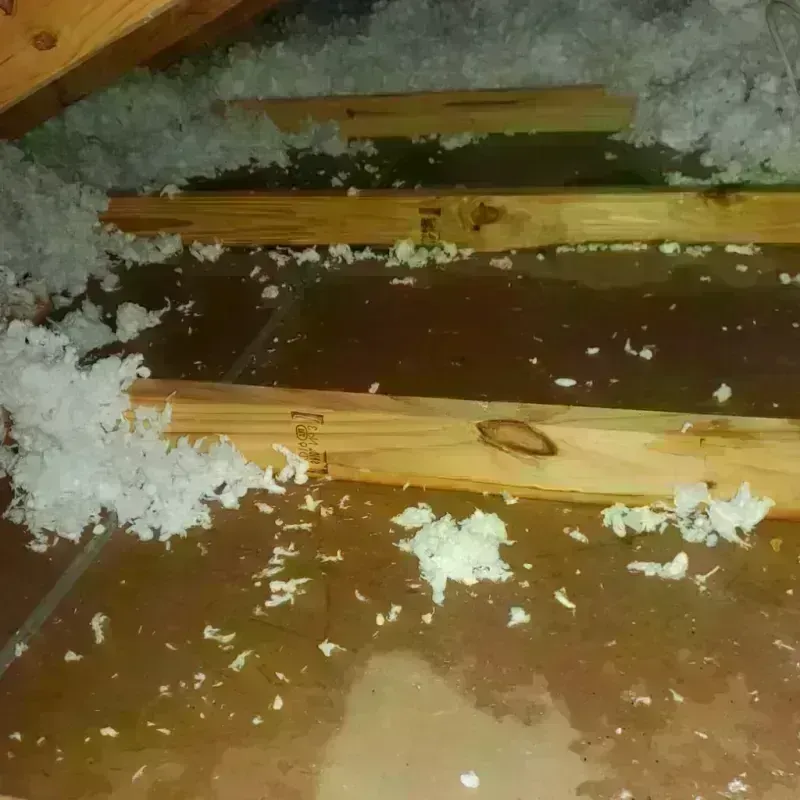 Attic Water Damage in Burley, WA